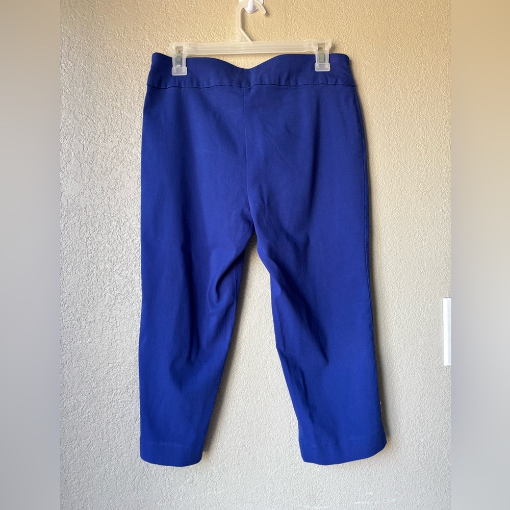 Counterparts Capris
Size 10! - Picture 4 of 10